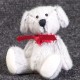 Tomte